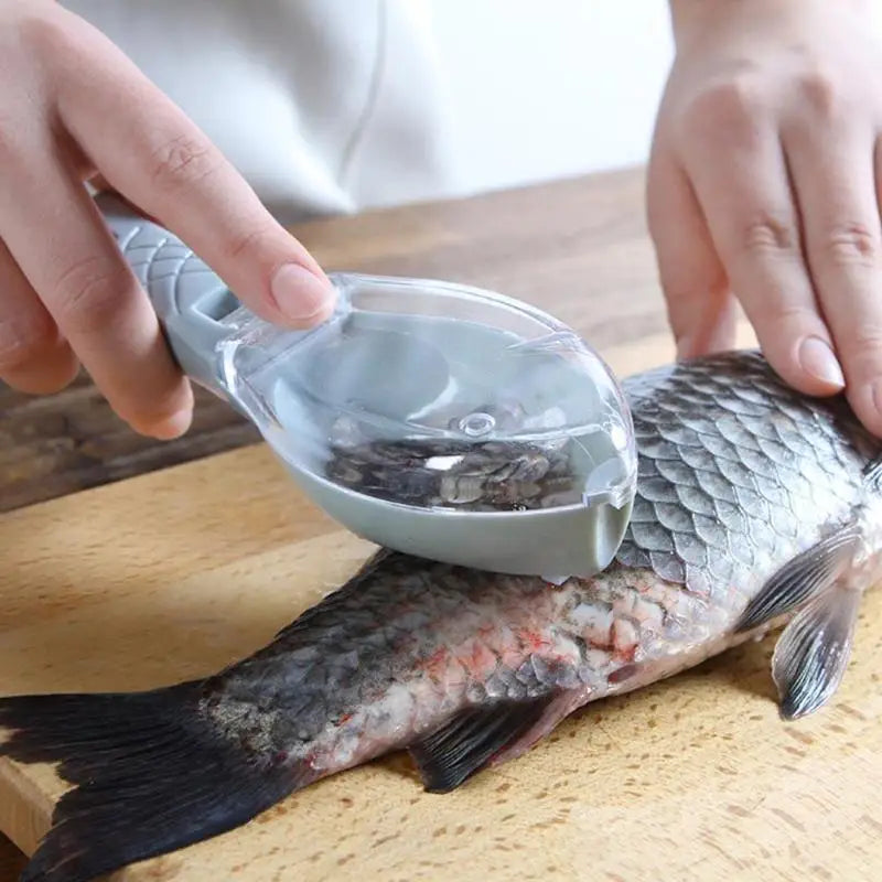 Râpe à écailles de poisson avec couvercle