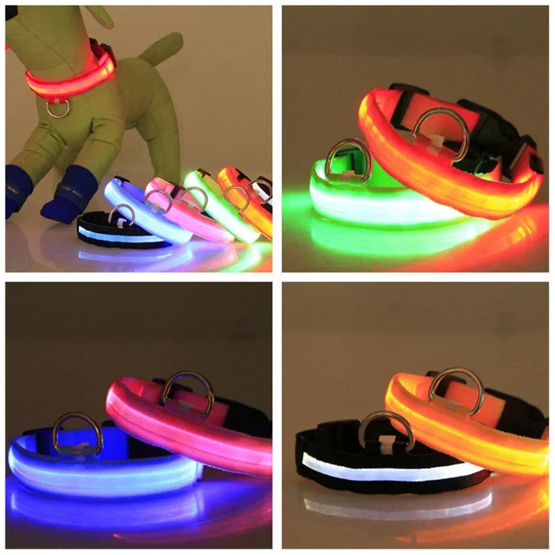 Collier de chien LED à chargement USB