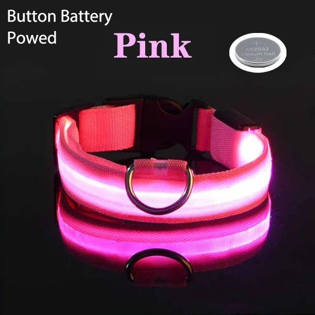Collier de chien LED à chargement USB