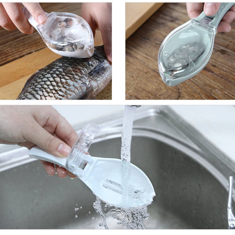 Râpe à écailles de poisson avec couvercle