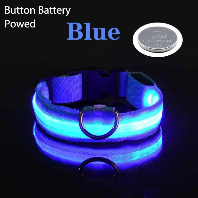 Collier de chien LED à chargement USB