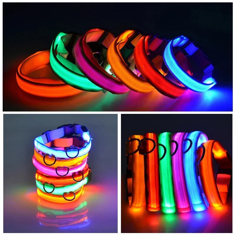 Collier de chien LED à chargement USB