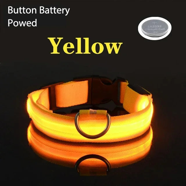 Collier de chien LED à chargement USB