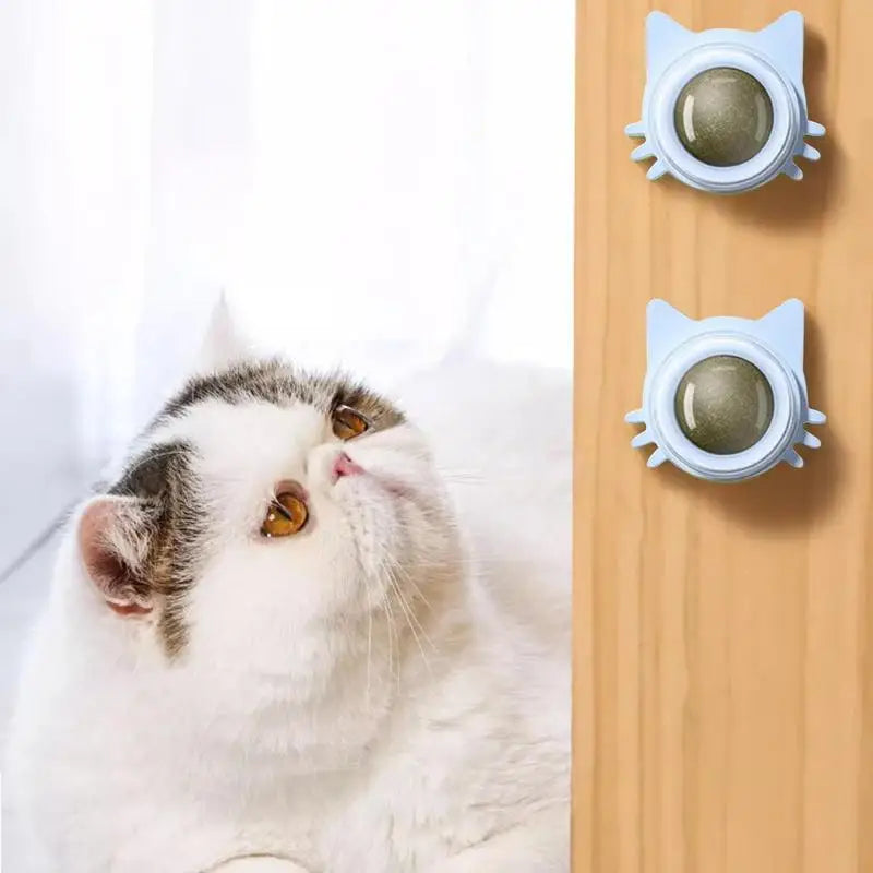 Balle d'herbe à chat autocollante