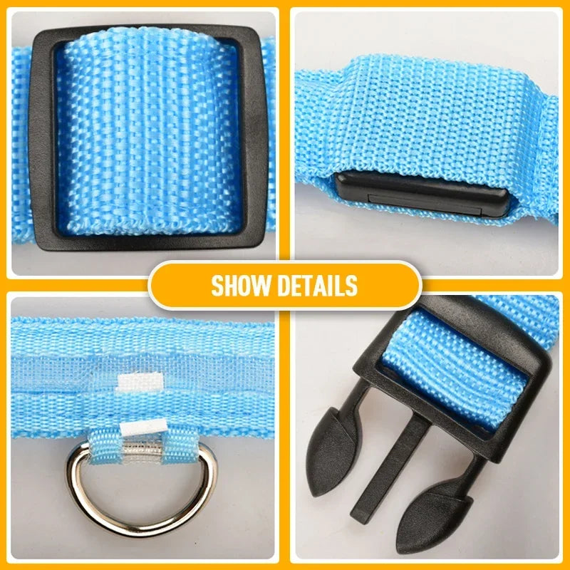 Collier de chien LED à chargement USB