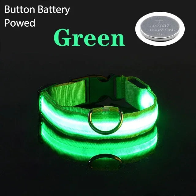 Collier de chien LED à chargement USB