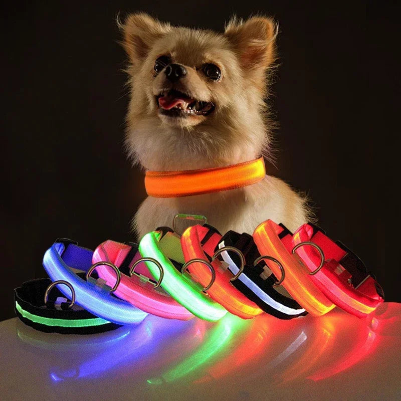 Collier de chien LED à chargement USB
