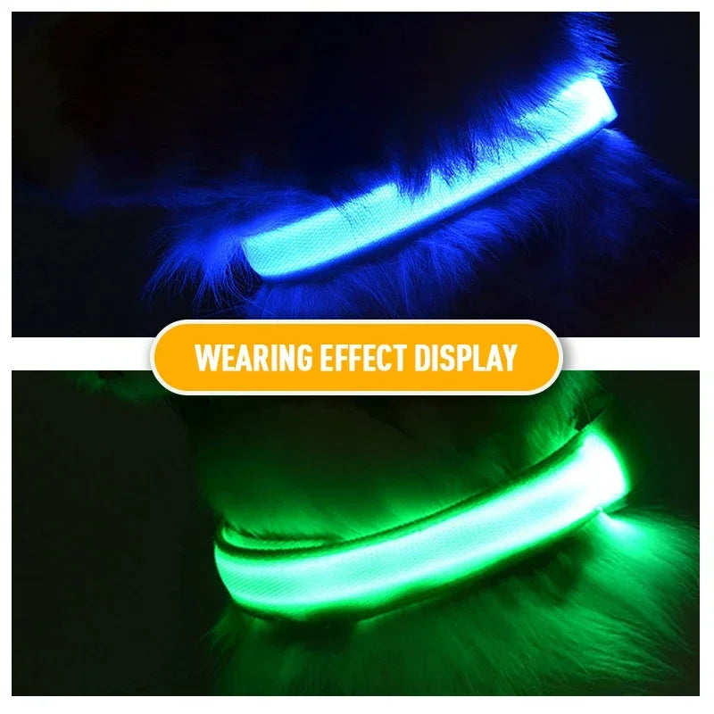 Collier de chien LED à chargement USB