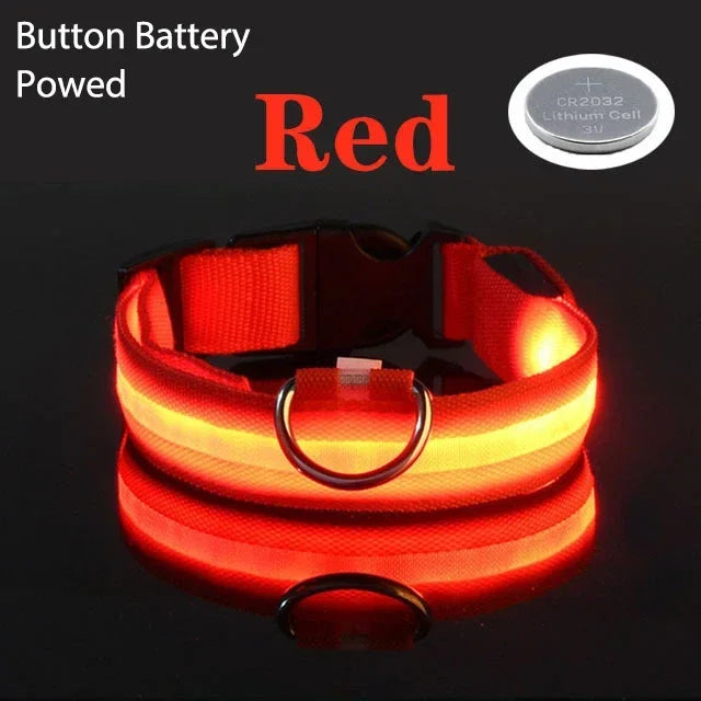 Collier de chien LED à chargement USB