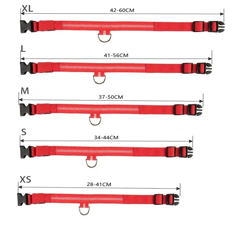 Collier de chien LED à chargement USB
